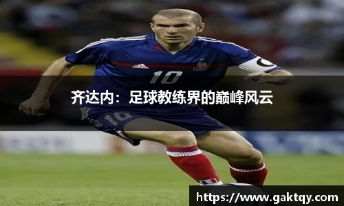 zoty中欧官方网站